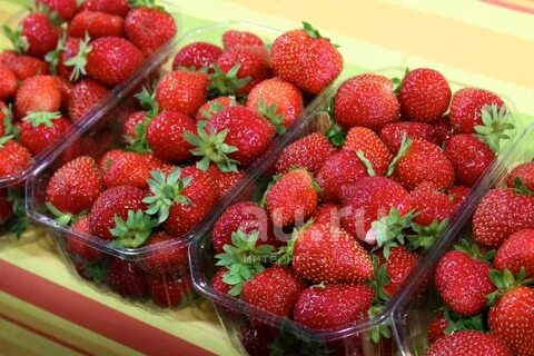 Продам клубнику свежую
