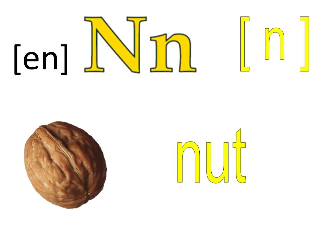 Nut на английском. Карточка a nut. Английские слова орех. Letter n nut. Транскрипция английских box