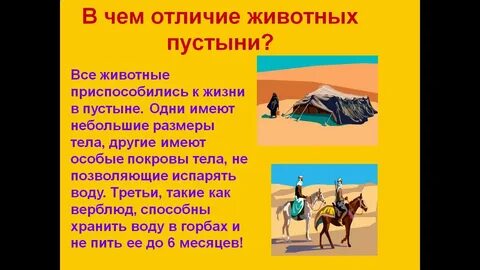 Рассказ о своей воображаемой экспедиции в пустыню