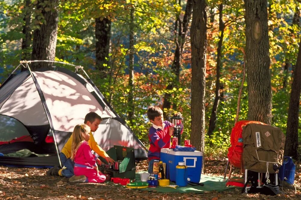 Camping questions. Фотографии для описания. Занятия на природе кемпинг. Фото для посианния. Кемпинг люди.