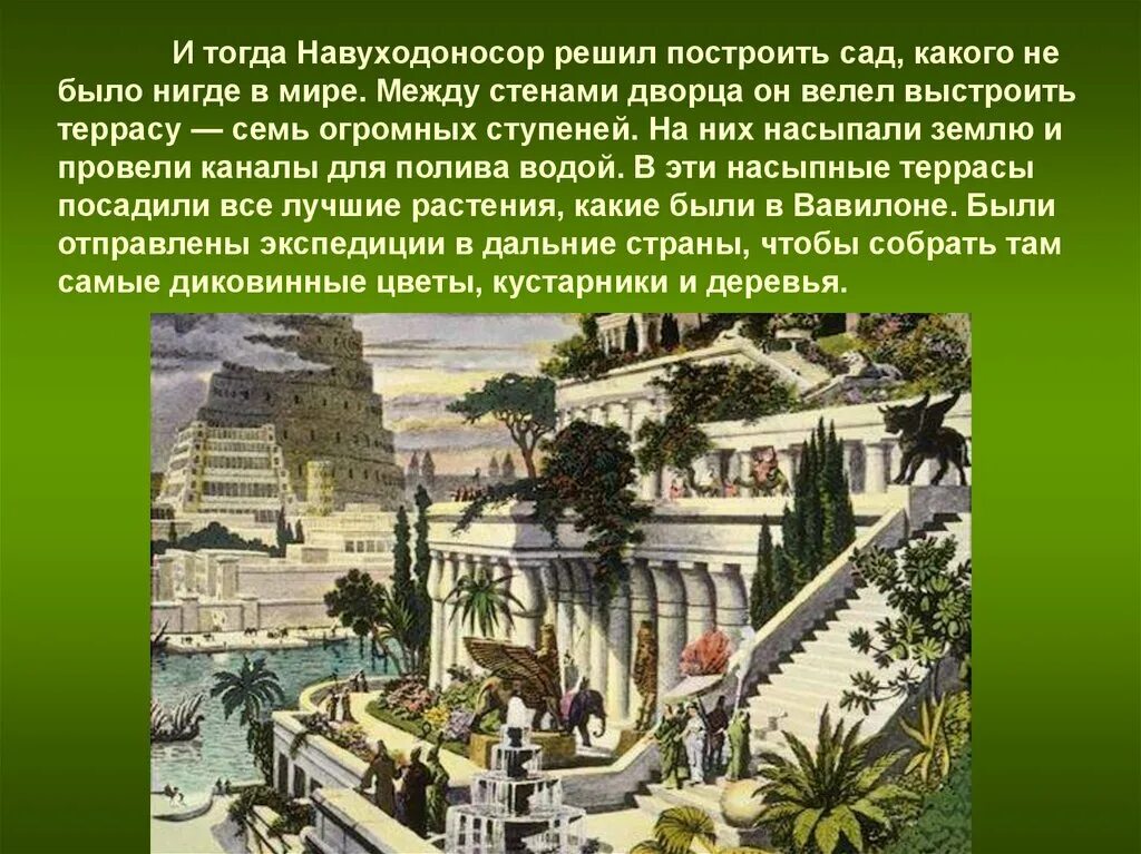навуходоносор сады семирамиды. висячие сады семирамиды в вавилоне проект. ). висячие сады вавилона - одно из "семи чудес" древнего мира. 2 чудо света висячие сады семирамиды.