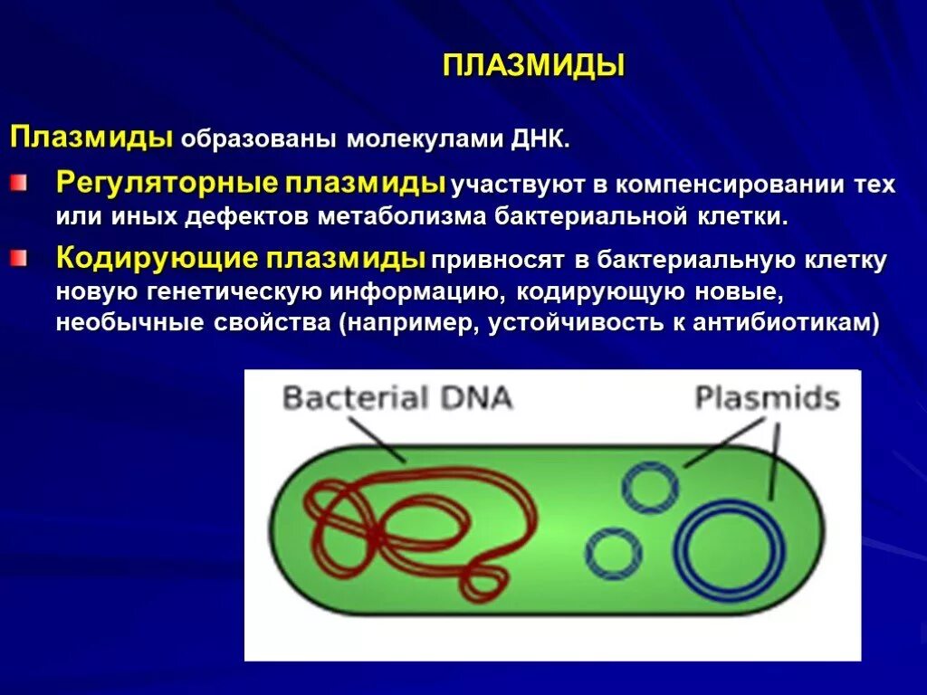 Плазмида кольцевая днк. Строение бактерии плазмида. Строение плазмид бактерий. Строение плазмидв бактерий. Строение клетки бактерии плазмида.