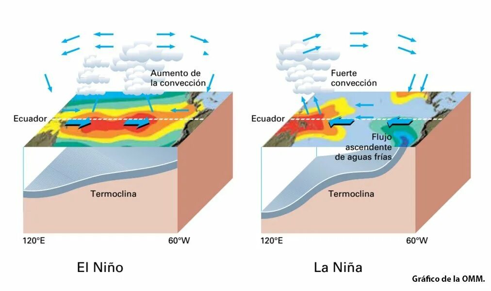 Нино перевод. Ла-Ниньо схема. Явление Эль-Ниньо. Ла Ниньо и Эль Ниньо. La Nina.