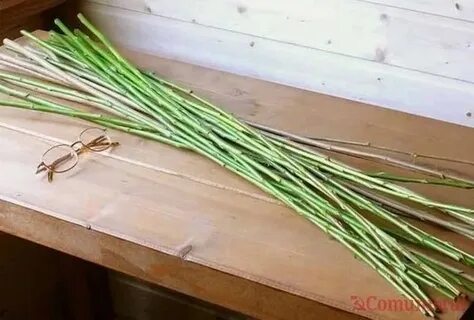 Гибкий прут в роли плети 4