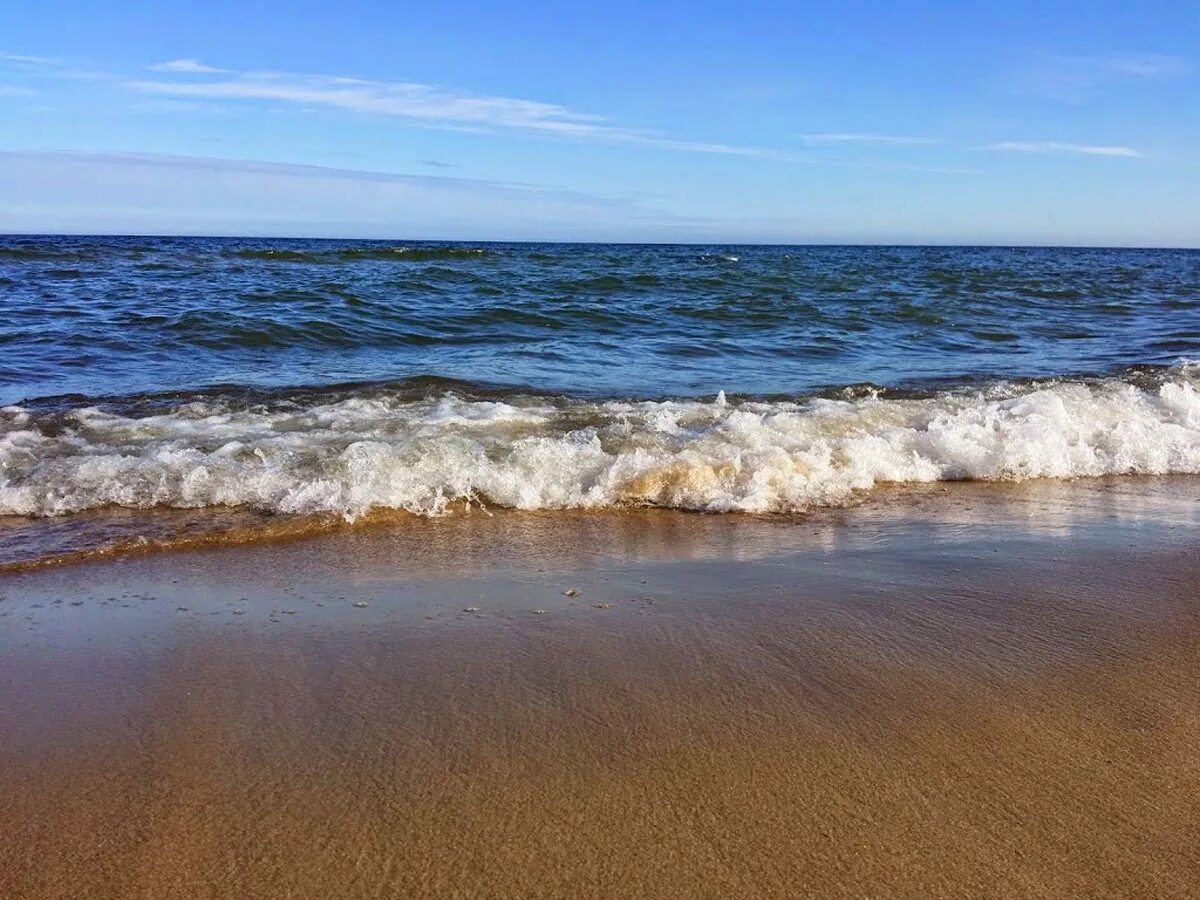 Балтийский берег морская. Балтийское море Калининград. Пляж Балтийского моря в Калининграде. Калининград Балтийск море. Балтика море Калининград.