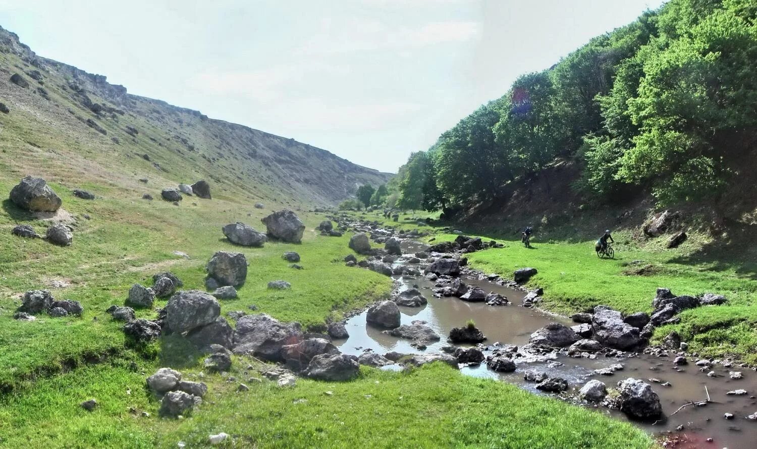 Коржеуцы Молдова. Бричанский район село Коржеуцы. Заповедник Фетешты. Кишинев- Коржеуцы.