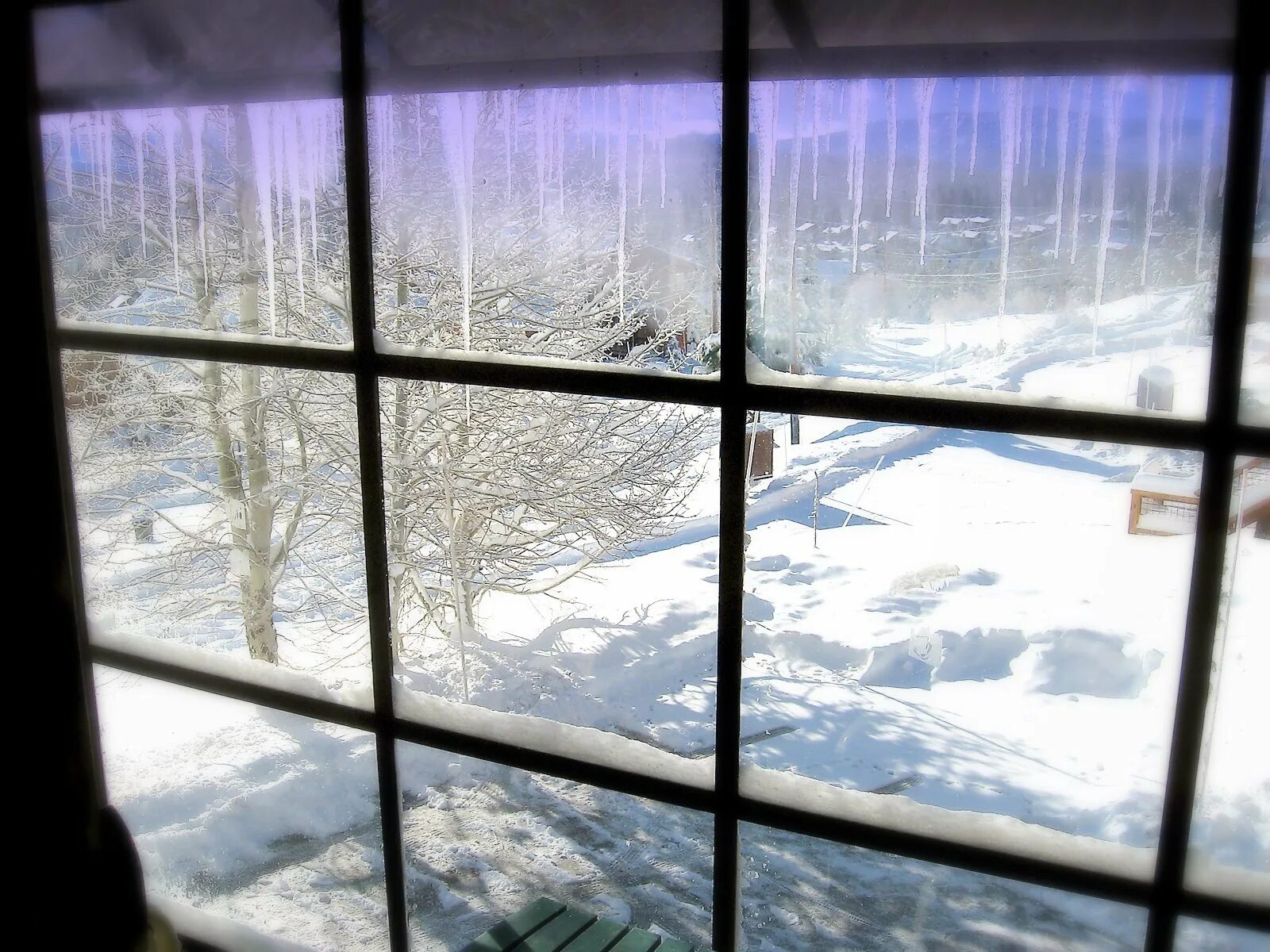 It looks cold