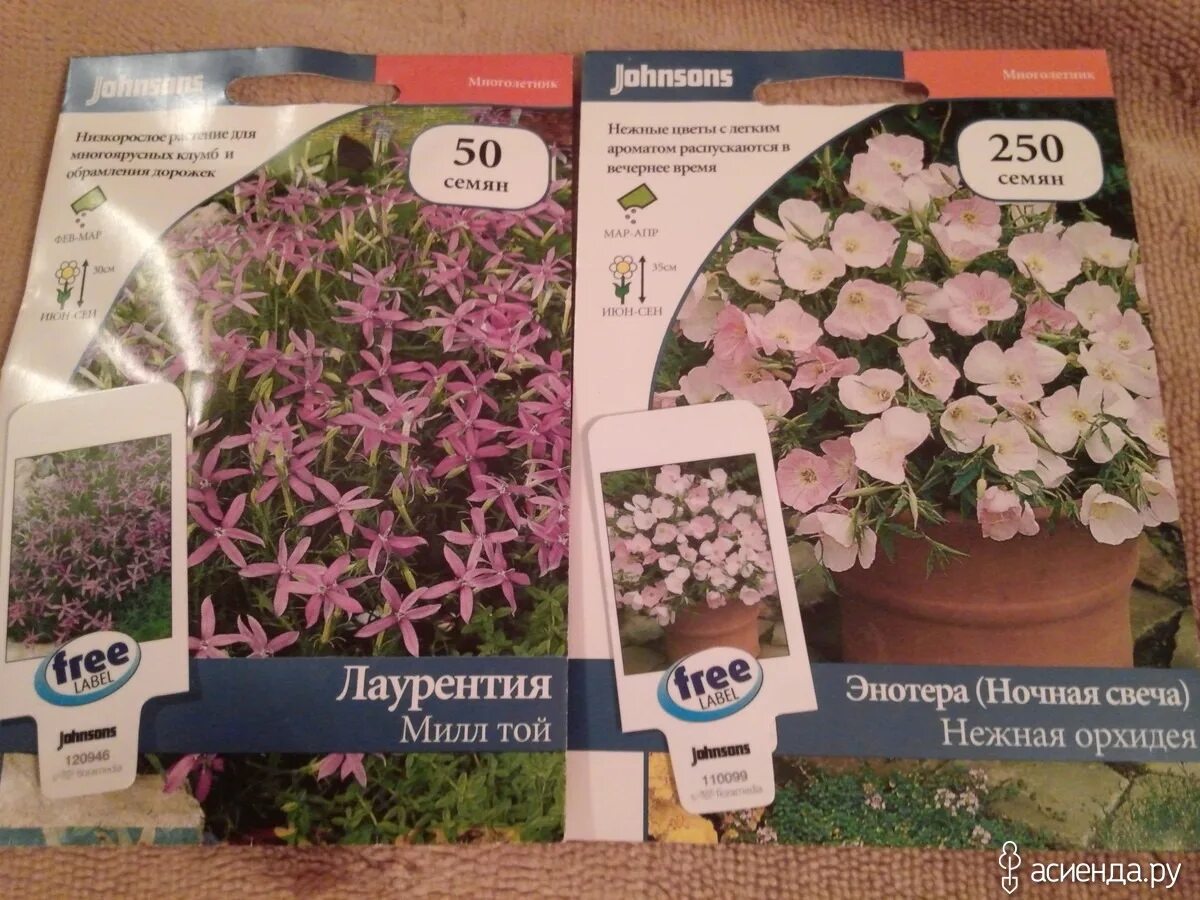 калибрахоа каблум корал семена профи цв "1. семена биотехника. семена биотехника логотип. цветы калибрахоа каблум коралл (аэлита). биотехника семена интернет магазин профессиональные семена.