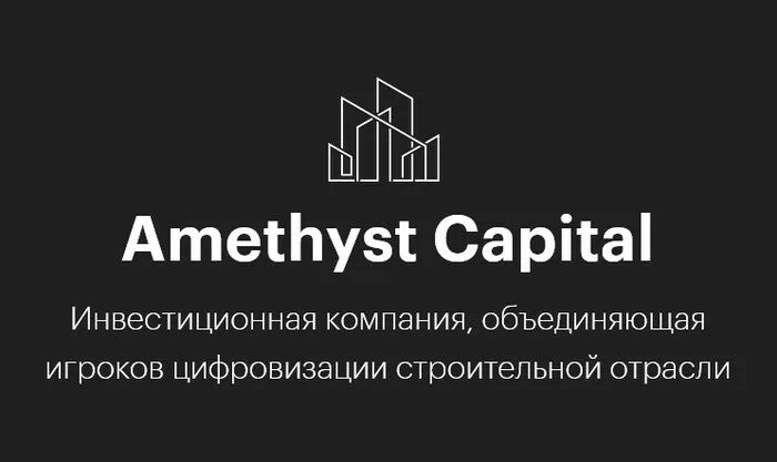 Управляющая компания аметист. Amethyst Capital логотип. Аметист капитал logo. Аметист групп. Фонд аметист Кэпитал.