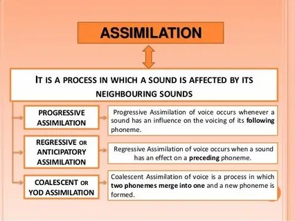 Assimilation in english phonetics