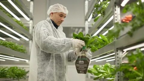 Зеленые производители