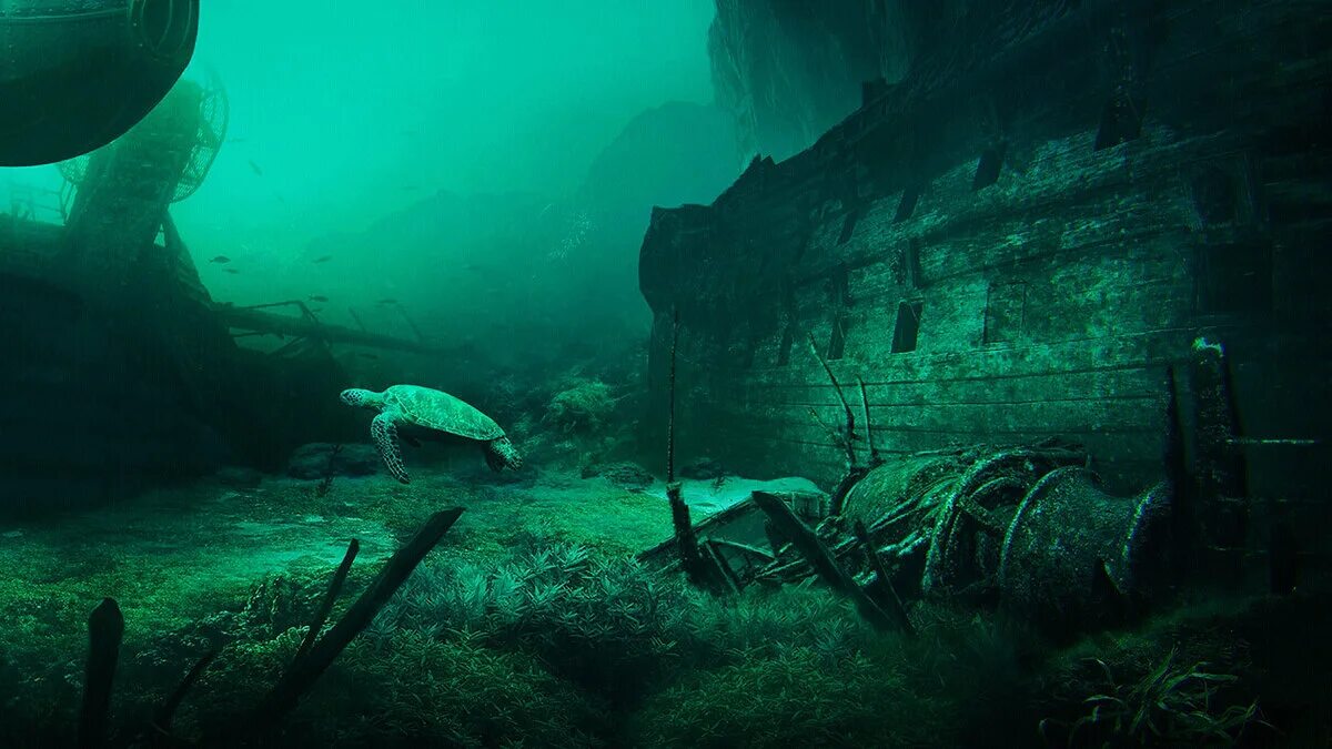 Тайны морских глубин. Анапа погружение с аквалангом. Подводные пейзажи. Морские глубины. Тайны морского дна.