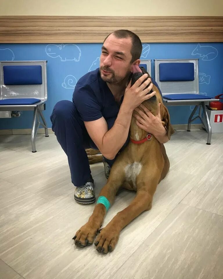 середа ветеринарный врач. середа сергей владимирович. середа сергей владимирович врач ветеринар. илья середа. середа ветеринарный врач.