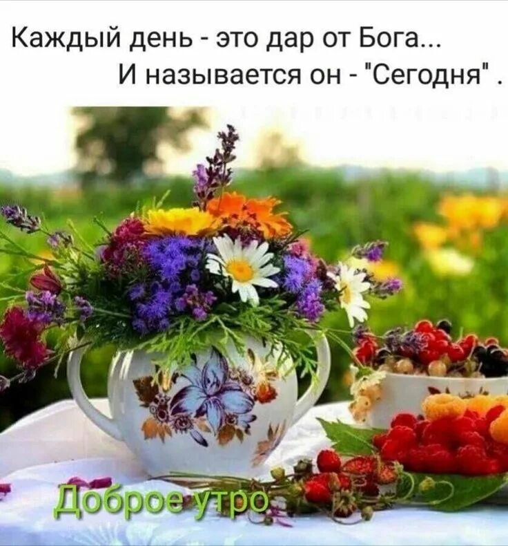 Публикация #5667 - ПОЗДРАВЛЯШКИН! Картинки и пожелания доброго утра хорошего дня