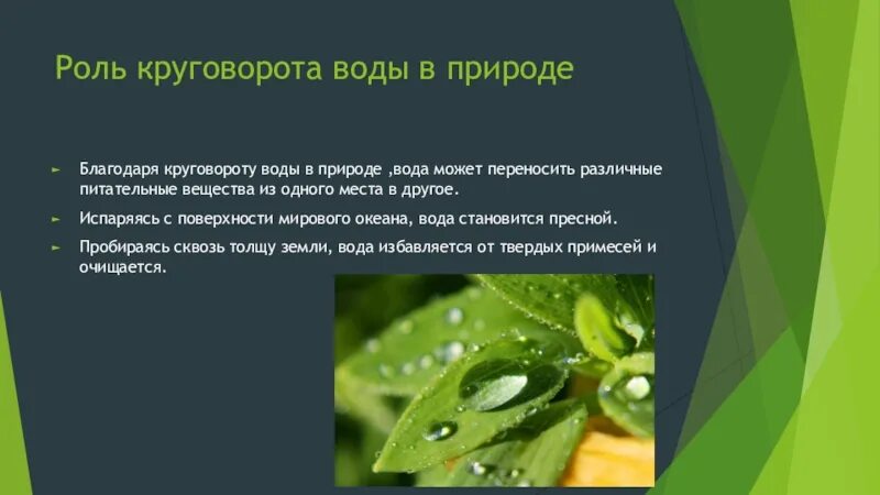 Важность круговорота воды в природе. Значение круговорота воды в природе. Какова роль круговорота воды в природе. Значение круговорота воды в природе кратко. Каково значение круговорот в природе