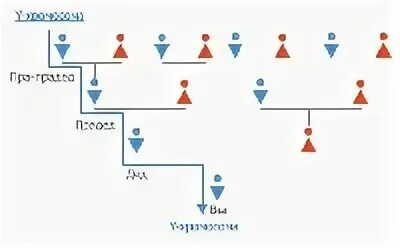 Пра пра правнук