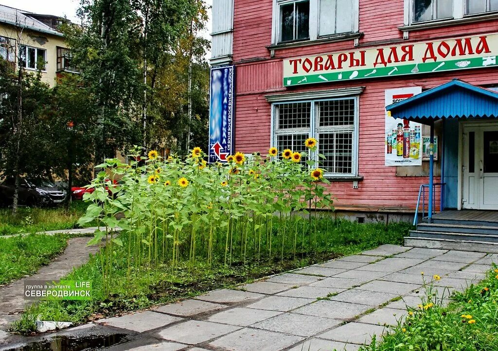 Профсоюзная улица. Профсоюзная 21а. Северодвинск профсоюзная дом 13. Профсоюзная 21 северодвинск. Профсоюзная 30 северодвинск.