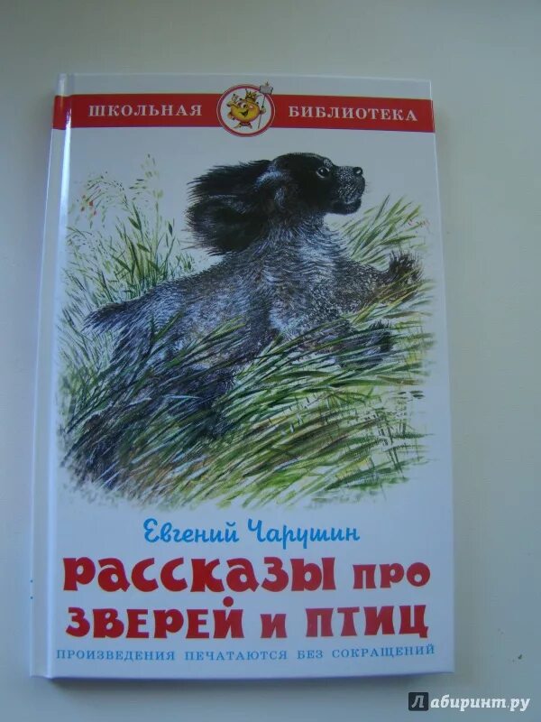 Сказки е и чарушина читать. Произведения Чарушина. Рассказы Чарушина. Чарушин рассказы для детей. Детские книги Чарушина.