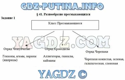 Заполните схему классификация рептилий