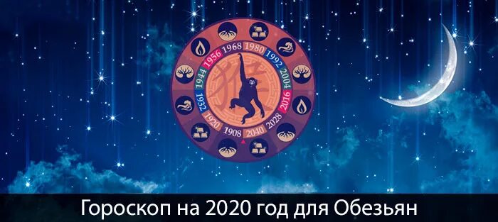 Знаки зодиака 2020. Гороскоп на 2020 год. Год крысы для тигра 2020. Год свиньи по гороскопу Лев.