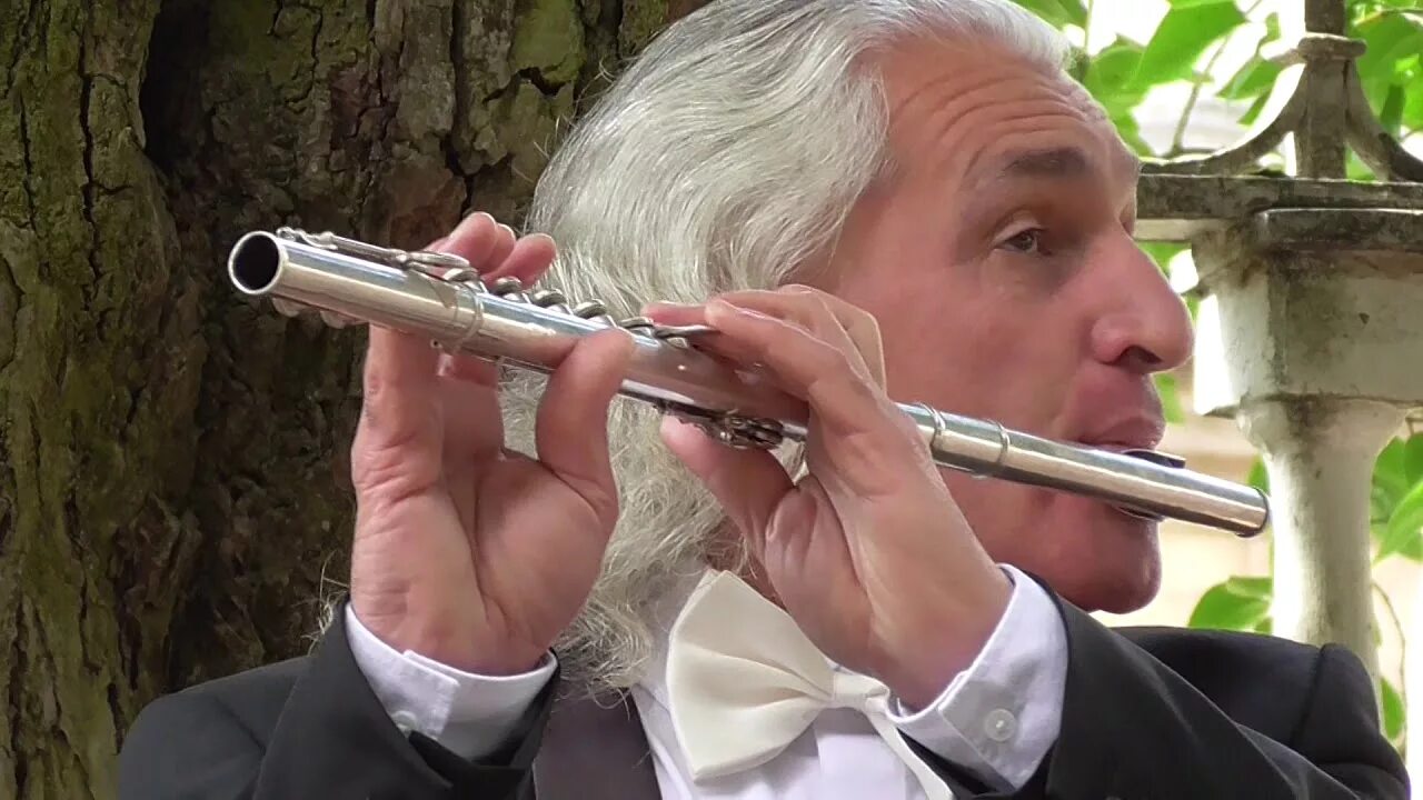 Флейта играет видео. Сасун Аракелян флейтист. Флейтист Царское село. Ю Н Должиков флейтист.