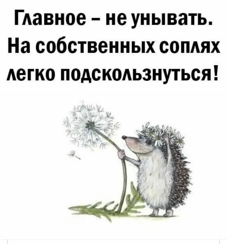 Никогда не стоит унывать. Главное не унывать на собственных соплях легко поскользнуться. на собственных соплях легко поскользнуться. главное не унывать на собственных соплях. главное не унывать картинки.