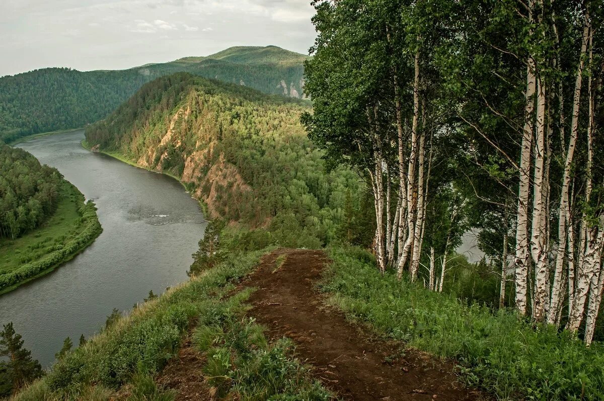 Родной край красноярского края. Река Мана Манская петля. Река Мана Красноярский край. Манская петля Красноярский край. Река Мана Пимия Красноярский край.