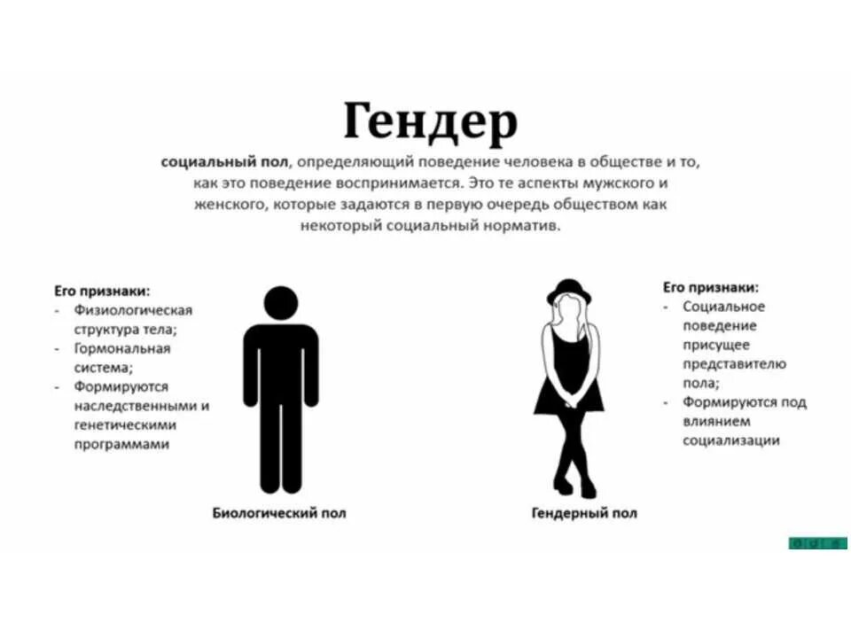 Гендер. Разновидности полов человека. Гендерный признак. Типы гендеров. Как назвать общество женщин