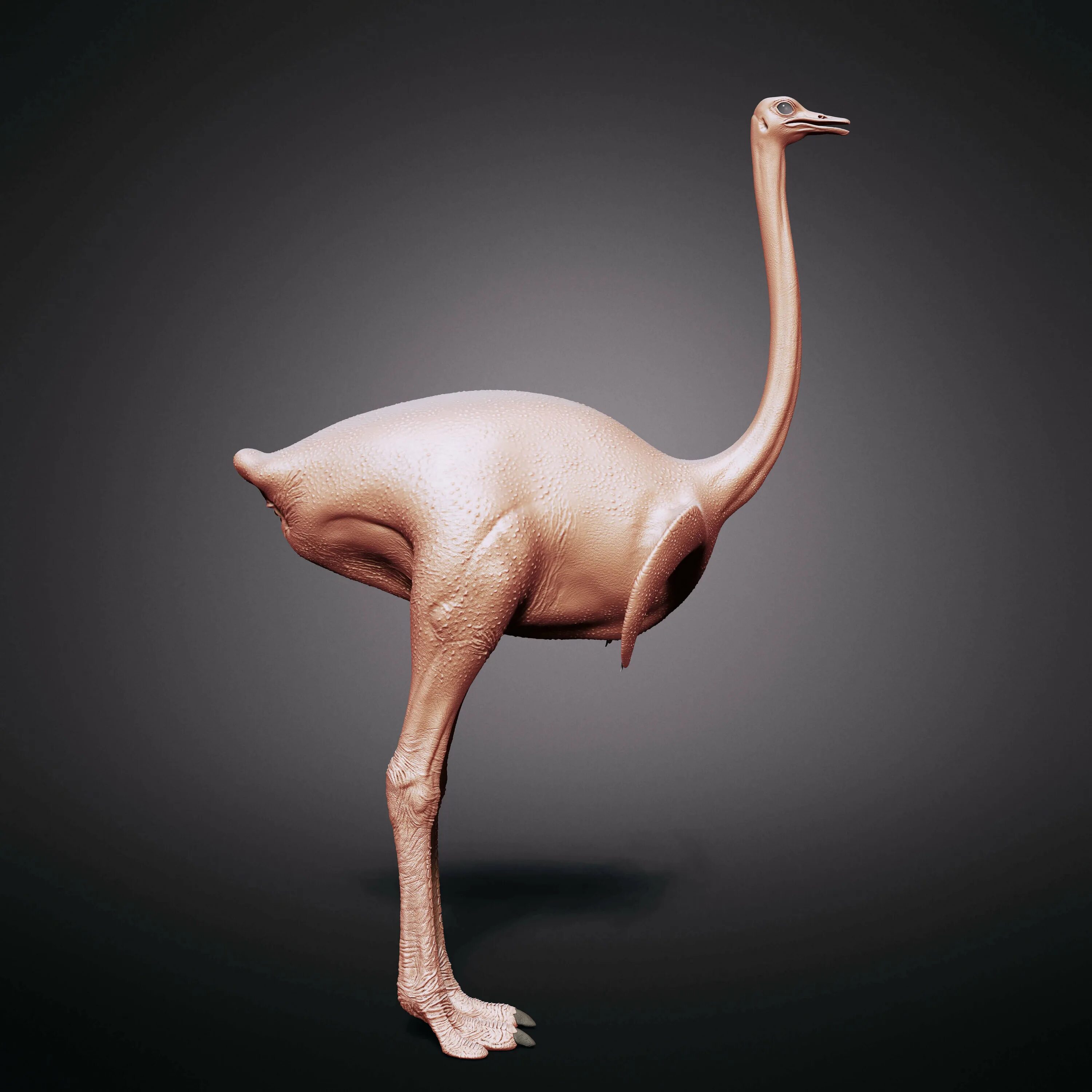 Человек животное без перьев