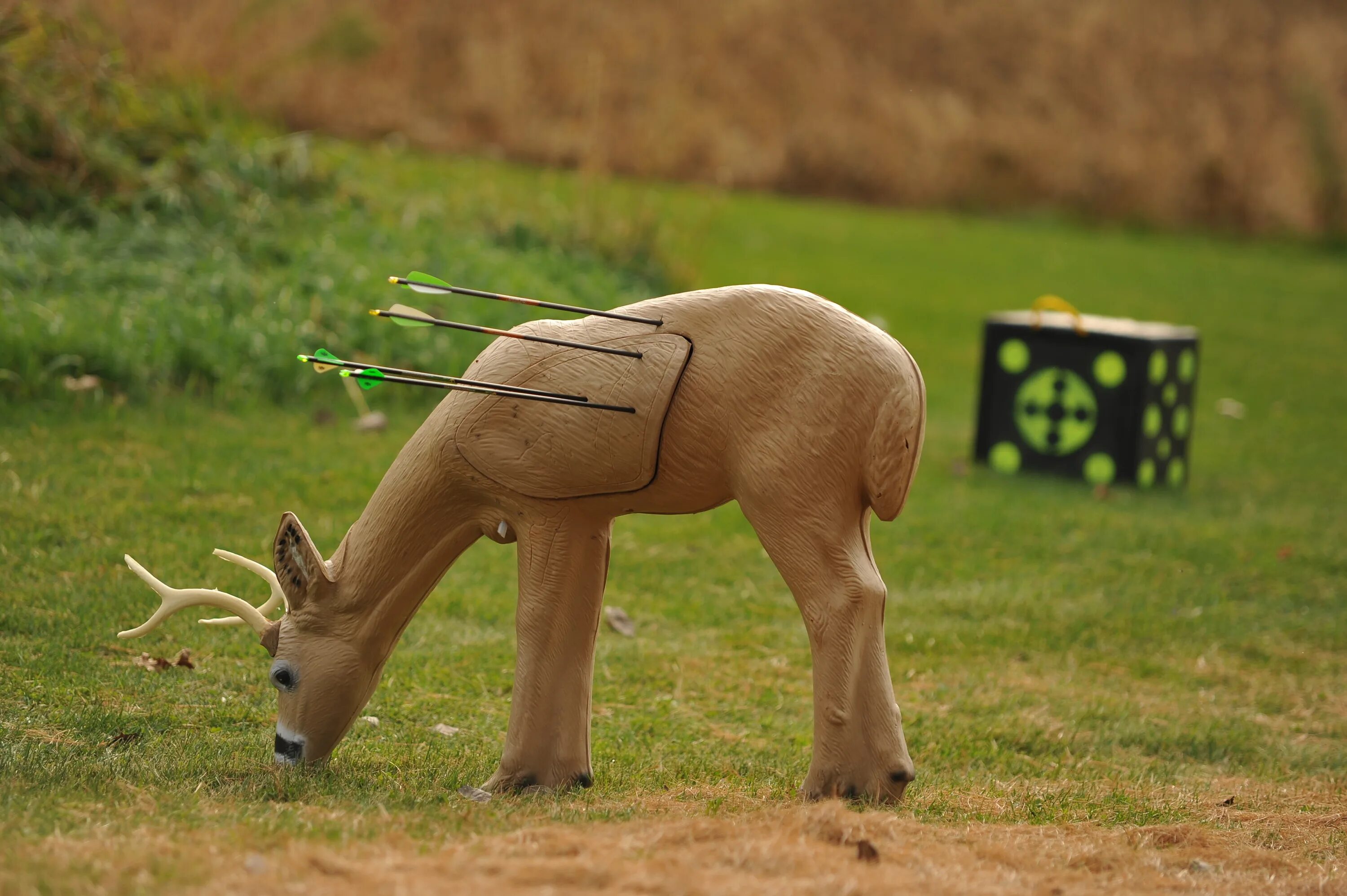 3д лук стрельба. 3d стрельба. Мишень из сена. 3d стрельба. Стрельбе из арбалета черноярский район.