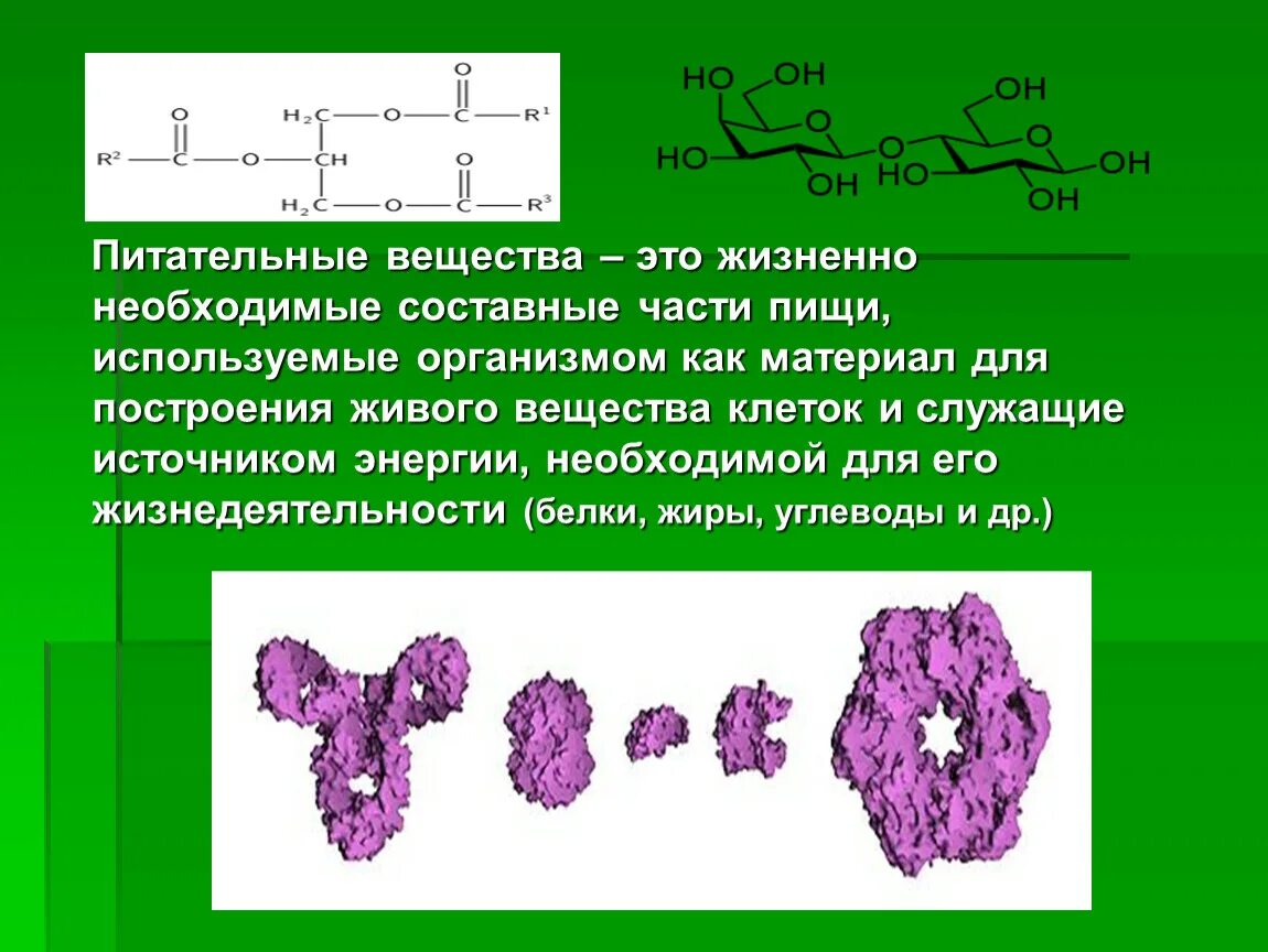 Выберите биогенные вещества. Питательные вещества клетки. Питательные вещества служащие источником энергии. Жиры запасные питательные вещества.