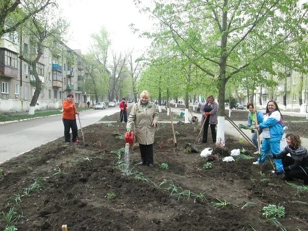 Молодогвардейск Луганская область. Молодогвардейск 2014. Молодогвардейск фото. Гавриш Молодогвардейск. Погода молодогвардейск на 10