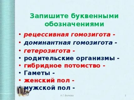Доминантная гомозигота образует
