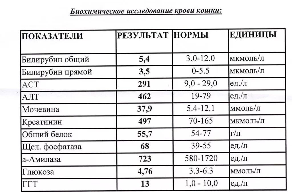 Анализ крови биохимия показатели нормы. Расшифровка анализа крови биохимия норма. Таблица нормальных показателей биохимии анализа крови. Биохимический анализ крови норма человек.