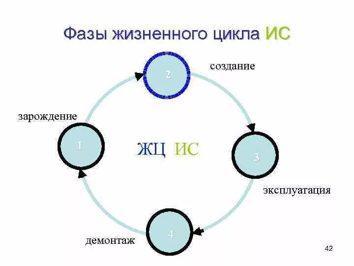 Жизненный цикл создания систем. Фазы жизненного цикла ИС. Жизненный цикл разработки системы. Стадии жизненного цикла системы. Этапы и стадии жизненного цикла ИС.