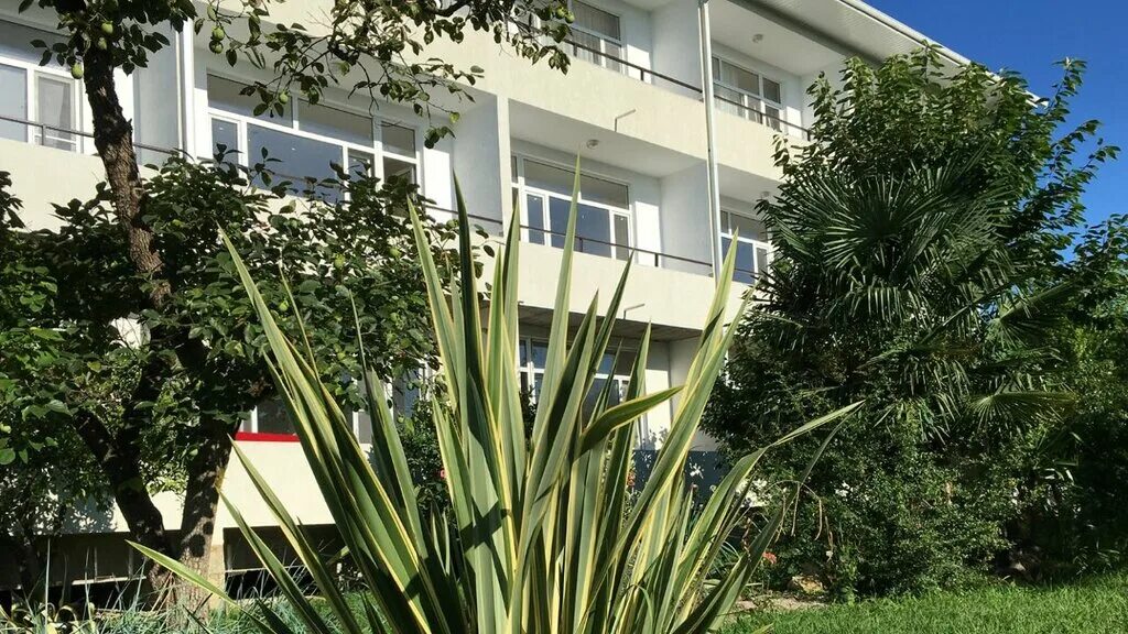 гостиница святая абхазия в алахадзы. мини отель святая абхазия в алахадзы. святая абхазия мини-гостиница в алахадзы видео 2022. святая абхазия мини гостиница отзывы. алахадзе, ул.