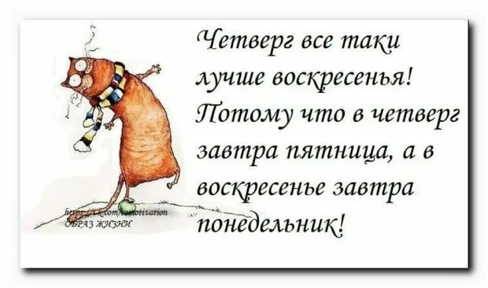 Смешные фразы про четверг. Анекдот про четверг. Прикольные стишки про четверг. Цитаты про четверг.