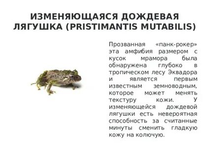 Известно что земноводная лягушка