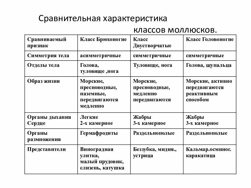 Моллюски различия. Таблица по биологии 7 класс Тип моллюски общая характеристика. Сравнительная характеристика классов моллюсков таблица. Общая характеристика типа моллюски 7 класс биология таблица. Характеристика класса моллюсков биология 7 класс таблица.