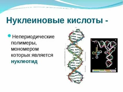 Соли нуклеиновых кислот