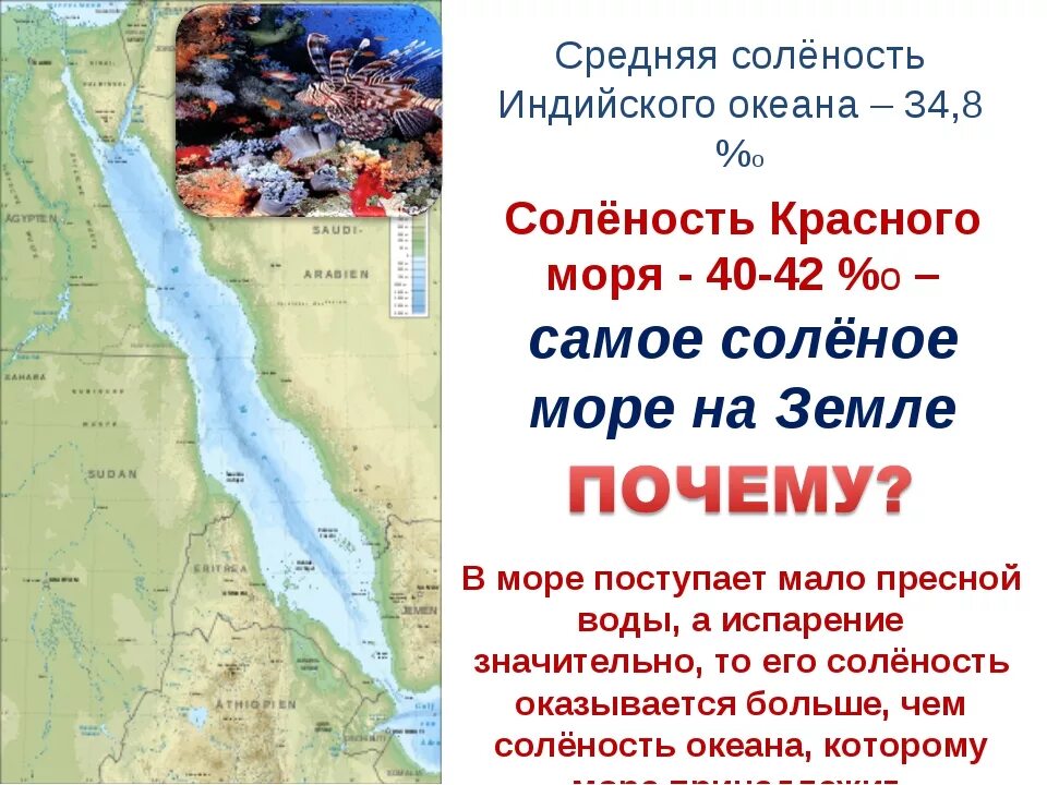 Красное море содержание соли. Соленость красного моря. красное море самое солёное. почему красное море самое соленое. красное море соленость воды.