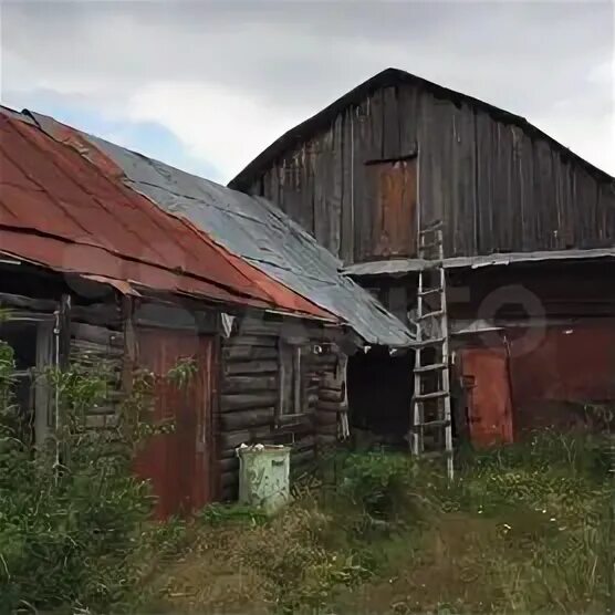 Пермский край Кишертский район Молебка Церковь Покрова Пресвятой Богородицы Фото