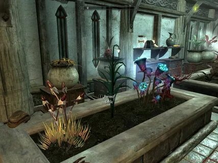 Skyrim plants