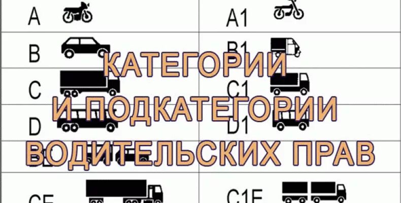 Категория б б1 м. Категории водителей транспортных средств. Категории водительских прав. Категория м. Категории и подкатегории транспортных средств.