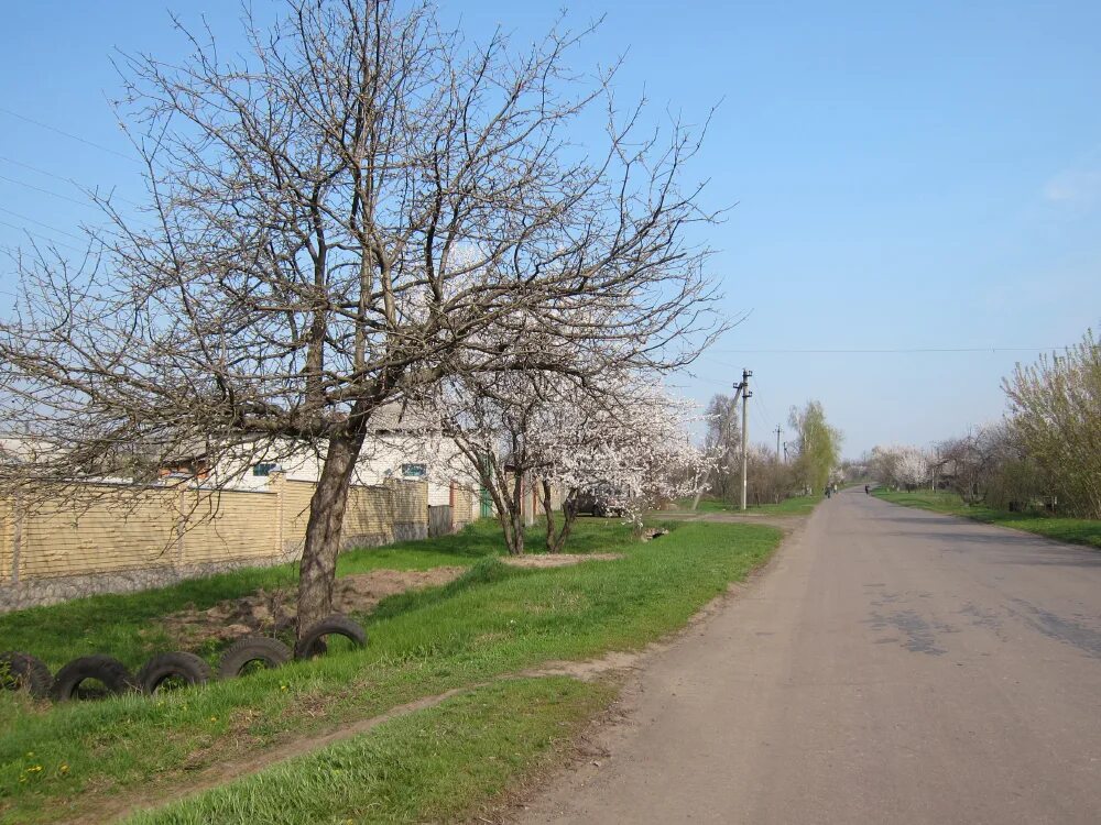 Погода в веселом запорожской. Казачья Лопань Харьковская. Село в Харькове Казачья Лопань. Новая Казачья Харьковская область. Весёлая Лопань.