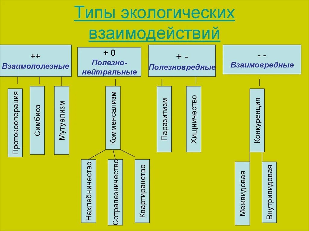 Основные типы экологических взаимоотношений. Типы взаимодействия экология. Типы взаимоотношения в экологии. Основные типы экологических взаимодействий. Разделите типы взаимоотношений организмов на соответствующие группы