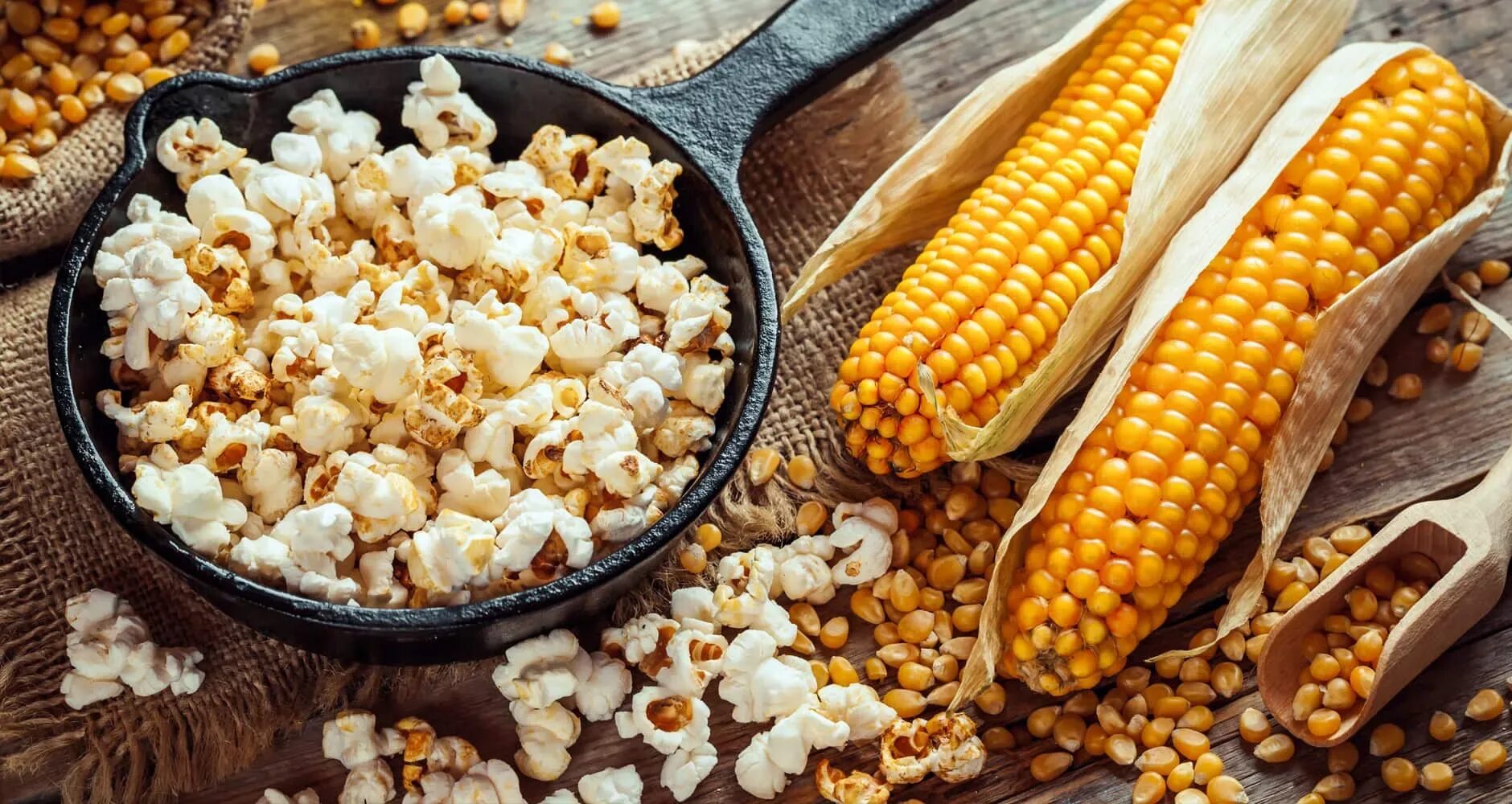Как делают попкорн. Попкорн sweet corn. семена кукуруза попкорн. зерна кукурузы для попкорна. воздушная кукуруза.