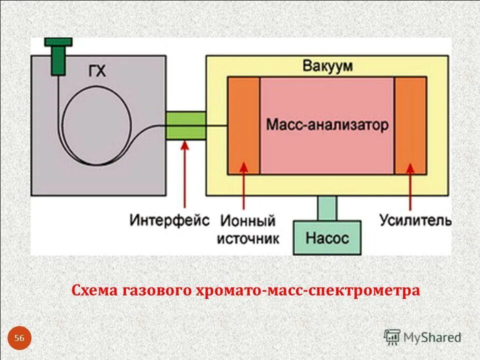 Мс мс анализ