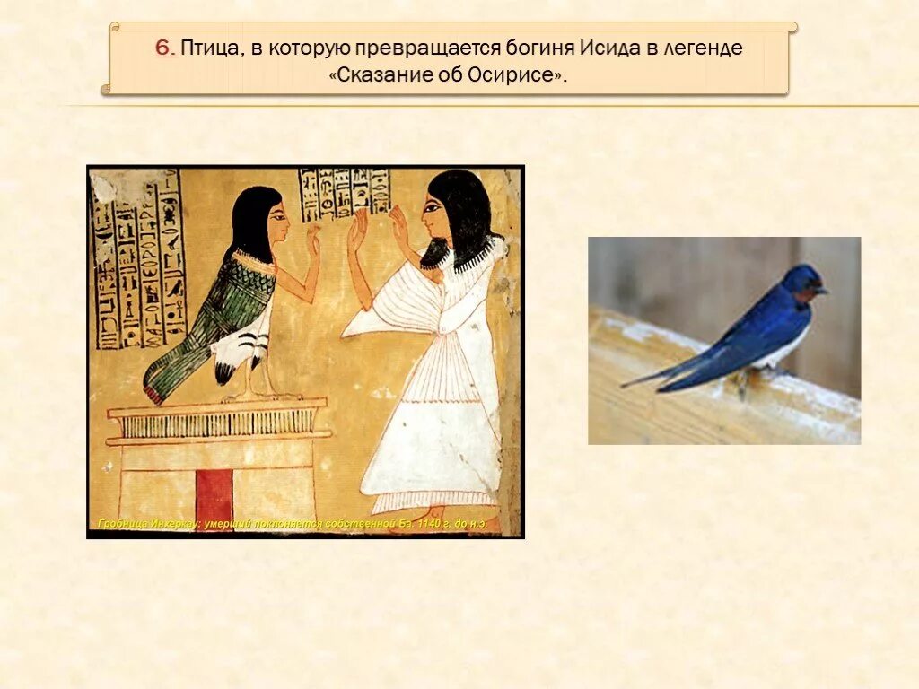 Птичка с письмом. Исида в обличии птички и осирис древний. Фотографии птиц. Самая умная птица. Аисты в гнезде живопись.