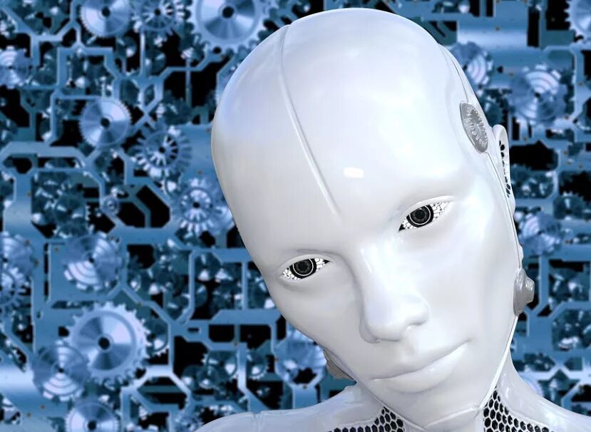 No robot